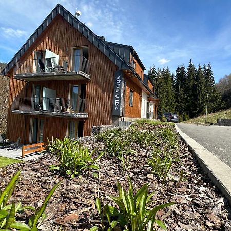 Apartmány u Lesa Dolní Morava Exterior foto