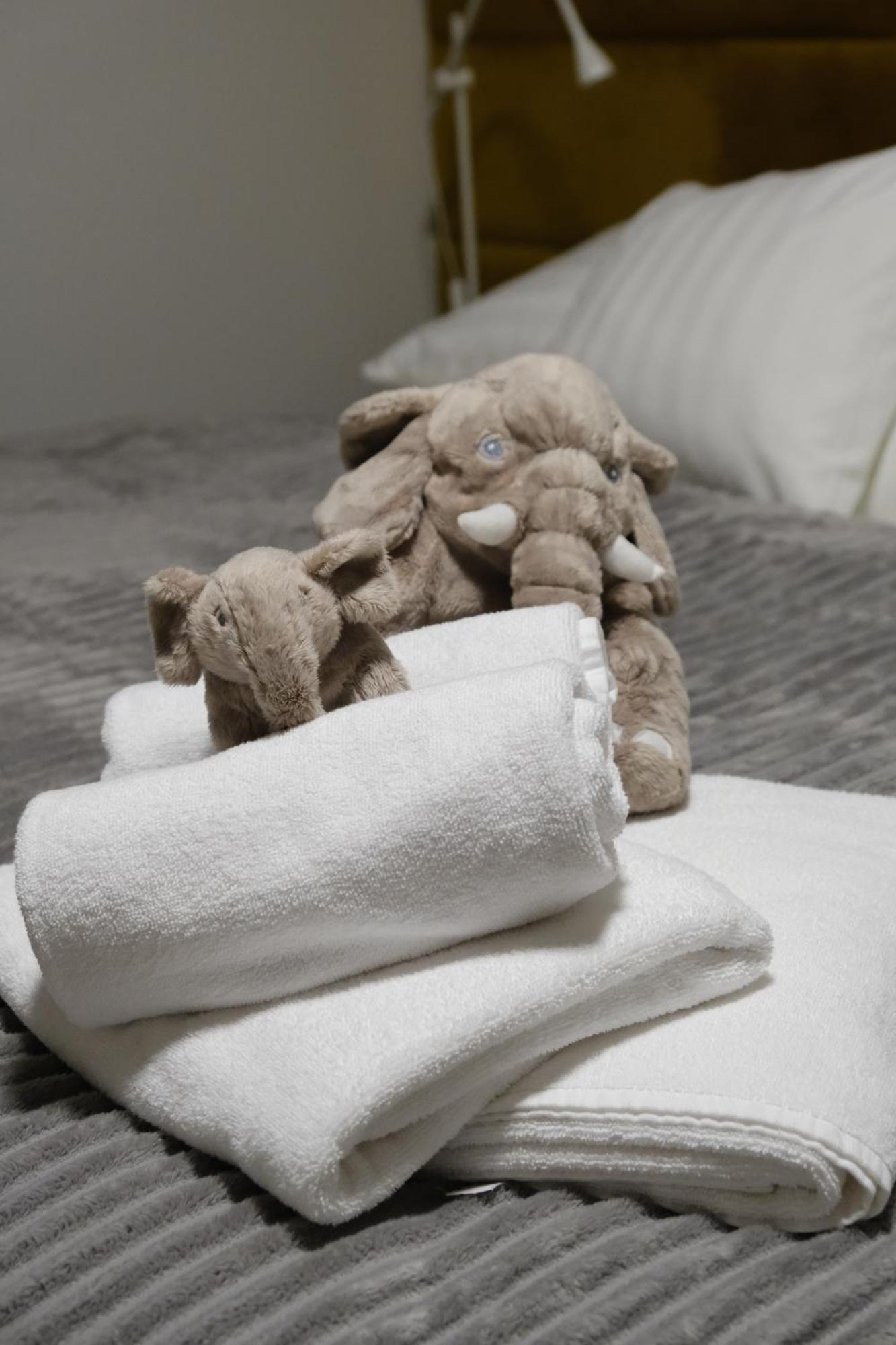 Apartmány u Lesa Dolní Morava Quarto foto